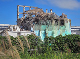   ,      -   Tokyo Electric Power Co (TEPCO)   ,   