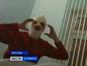 Балетмейстер Большого театра Филин переведен из реанимации в обычную палату Балетмейстер Большого театра Филин переведен из реанимации в обычную палату