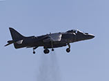 Harrier -     .       