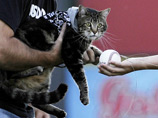     Bakersfield Blaze 20        ,    ,     ,         