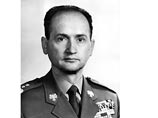 ,   1981        ,         ,        