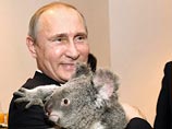        -   ,     G20    