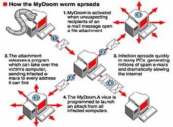   MyDoom.    www.chinadaily.com.cn