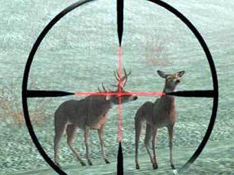   Deer Hunter   .