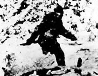 �������������� ���������� �������� ��������, �������� - ���� uncoveror.com