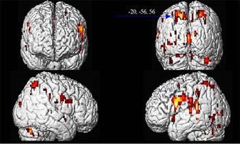 ��������-����������� ����������, ����������� � ����� www2.uibk.ac.at