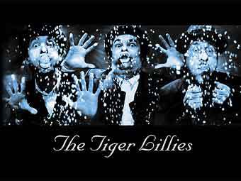 Tiger Lillies.     