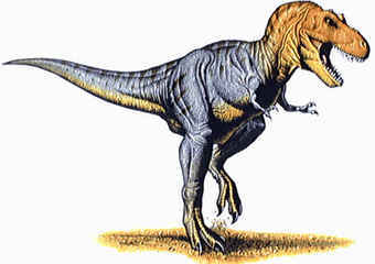 Tyrannosaurus Rex  "" ,    rainbowdolphin.com