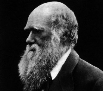 ������ ������, ���� � ����� mun.ca