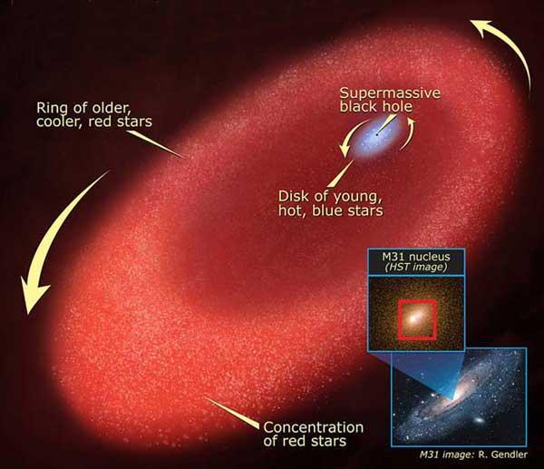 ����������� ���� �� ����� ������ ������ ����, ������� � ����� newscientist.com