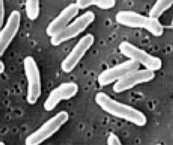 �������������-������������, ���� � ����� upenn.edu