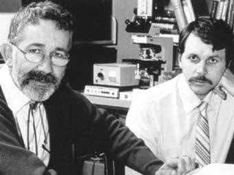 ����� ������ � ����� �������,  �������� ���� � ����� aegastro.es