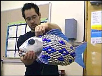 ����-�����, ���� � ����� BBC