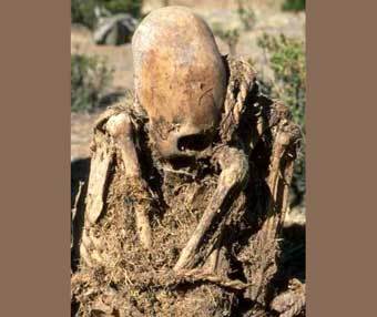 ������������ � ����� �����. ���� � ����� www.helsinki.fi