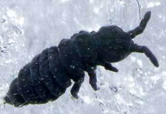 ������� �����. ���� � ����� www.physorg.com