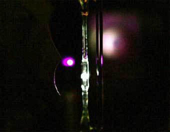 ��������� ����� � ���������� ������ ������ ����� ������ ��� ���������� ���������������� �������� �����. ���� � ����� www.livescience.com