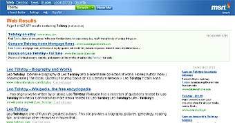  Microsoft MSN Search 