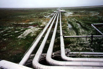 ,   www.thearctic.is