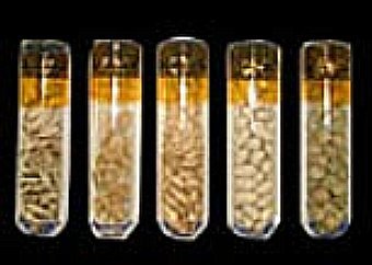 ������ � ��������, ���� � ����� NASA