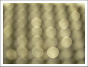 �������� ���������� � ����� newton-i.usefilm.com