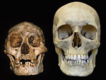 ����������� � ����� npr.org