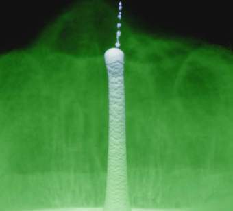 �������� "�����" � �������� "�����", ���� � ����� uchicago.edu