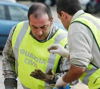 Испанские специалисты-взрывотехники. Фото Reuters