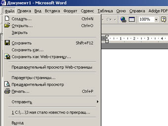  Microsoft Word 