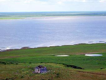  .    tuva.ru 
