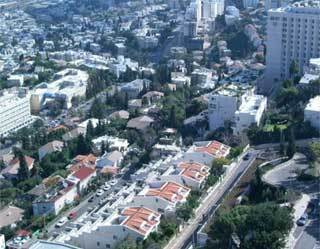   .    Israel-flowers-center.com