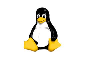 Linux  Tux,    kernelconcepts.de