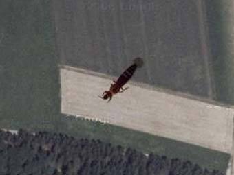     ,    Google Maps