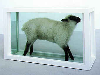    "Away from the Flock" 