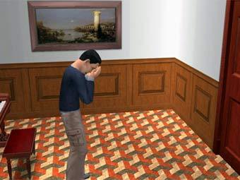   Sims 2