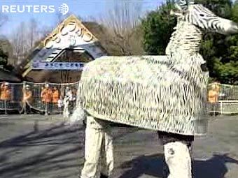    .  Reuters TV