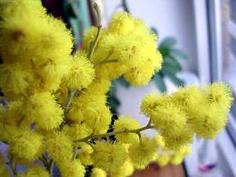 .    flowercenter.ru