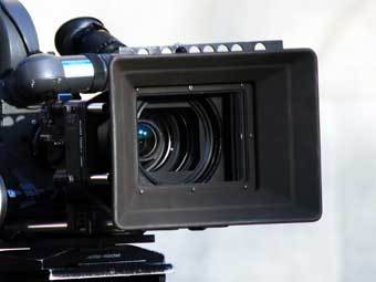    teamprostudio.com