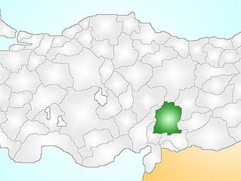        wikipedia.org