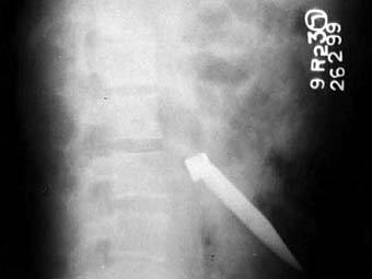      .    biomedcentral.com 