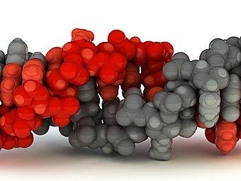    .    visualscience.ru