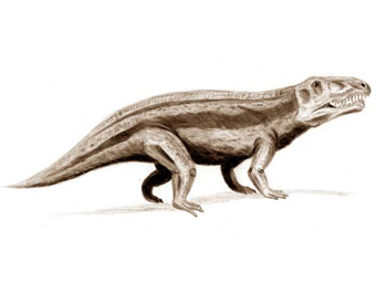    Erythrosuchus     ,       .   ArthurWeasley   wikipedia.org