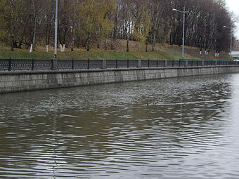 .  yauzariver.net