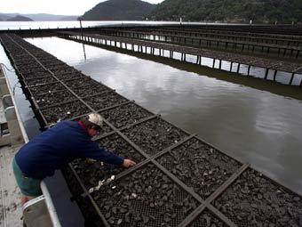    .   Reuters