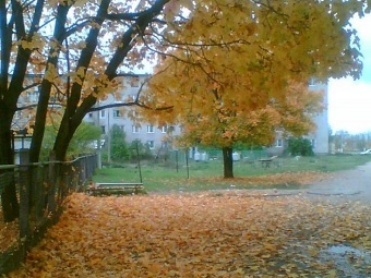 .    priozersk.ru