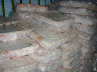  .    www.ru.all.biz